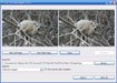 Free 3D Photo Maker