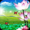 Lotus Live Wallpaper cho Android