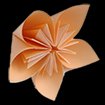 Origami Magic